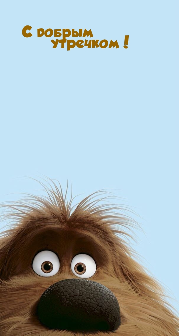 С добрым утречком!