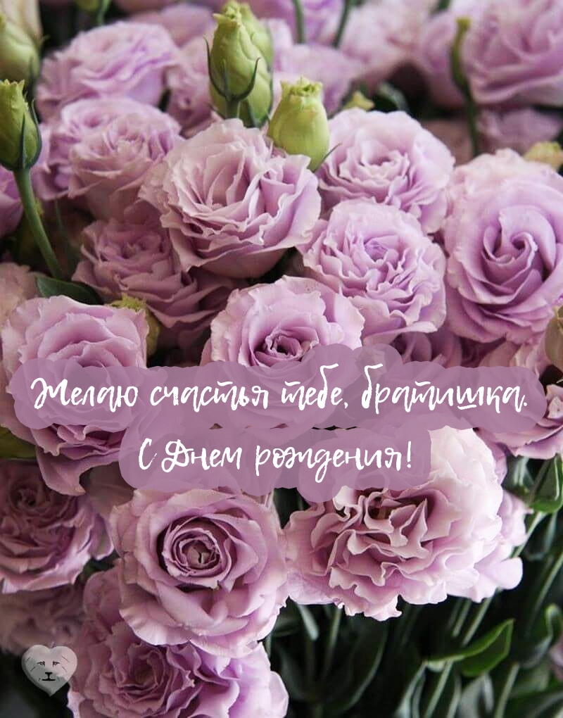 Желаю счастья тебе, братишка. С Днем рождения!