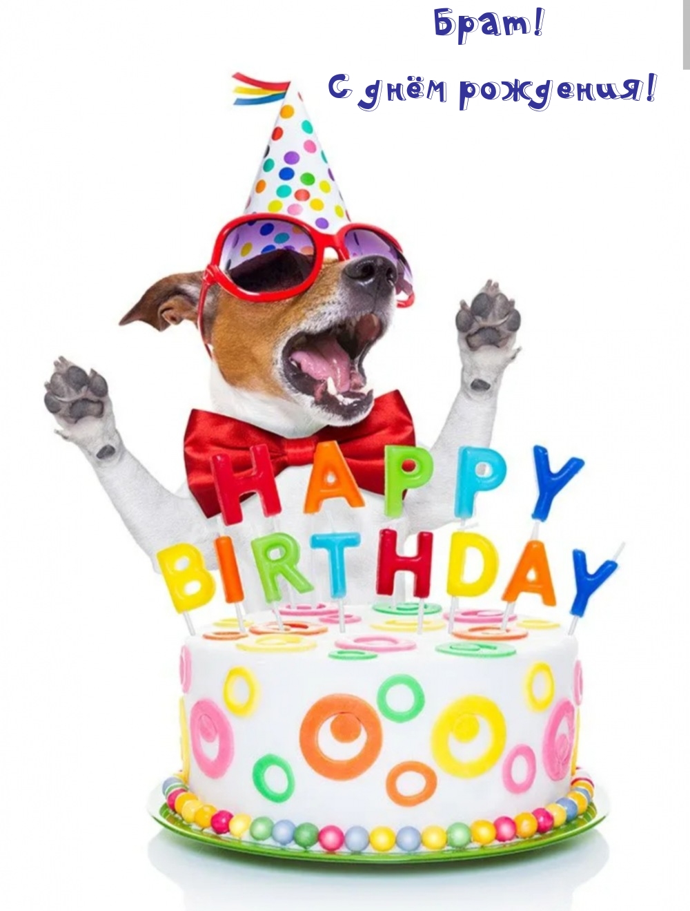 Брат! С днём рождения!