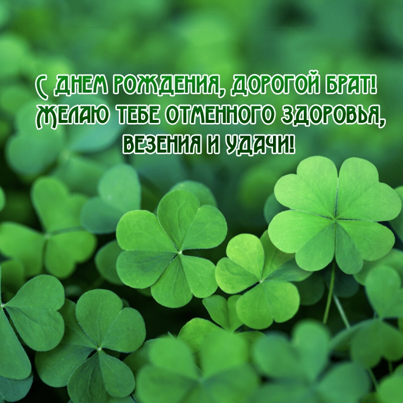 С днем рождения, дорогой брат!  Желаю тебе отменного здоровья