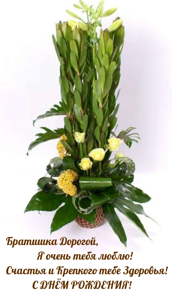 Братишка Дорогой, я очень тебя люблю! С днём рождения!