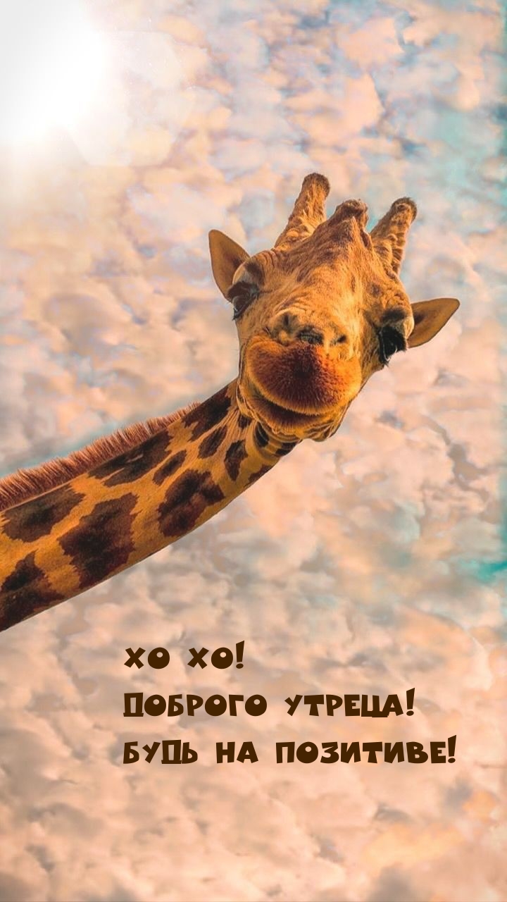 Хо хо! Доброго утреца! Будь на позитиве!
