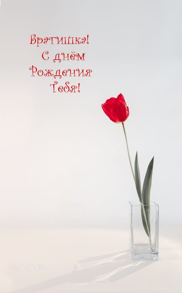 Братишка! С днём Рождения Тебя!