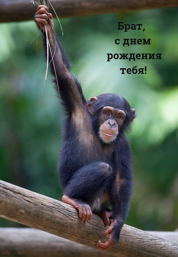 Брат, с днем рождения тебя! 