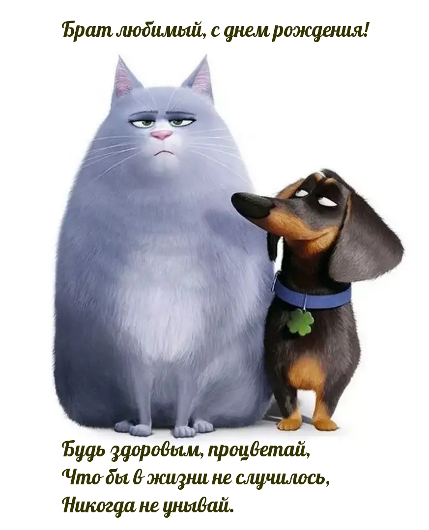 Брат любимый, с днем рождения! Будь здоровым, процветай