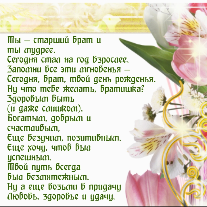 Ты — старший брат и ты мудрее. Сегодня стал на год взрослее.