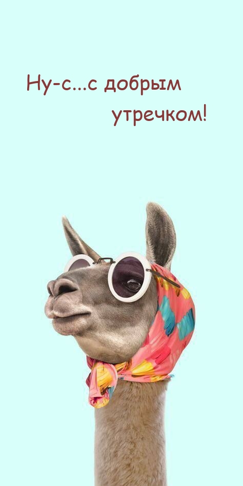 Ну-с...с добрым утречком!