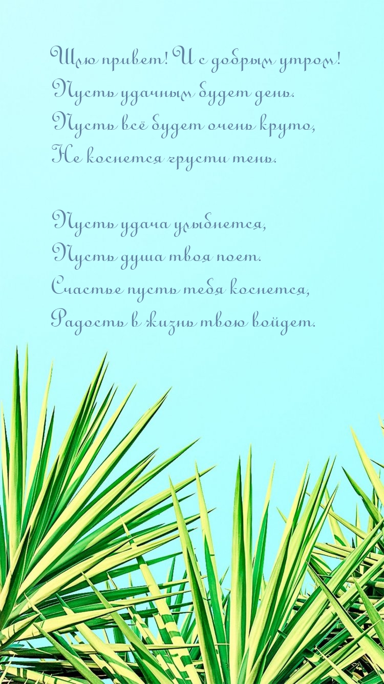 Шлю привет! И с добрым утром! Пусть удачным будет день.