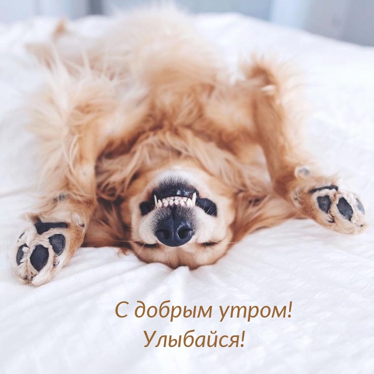 С добрым утром! Улыбайся!