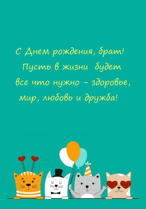 С Днем рождения, брат! Пусть в жизни будет все что нужно 