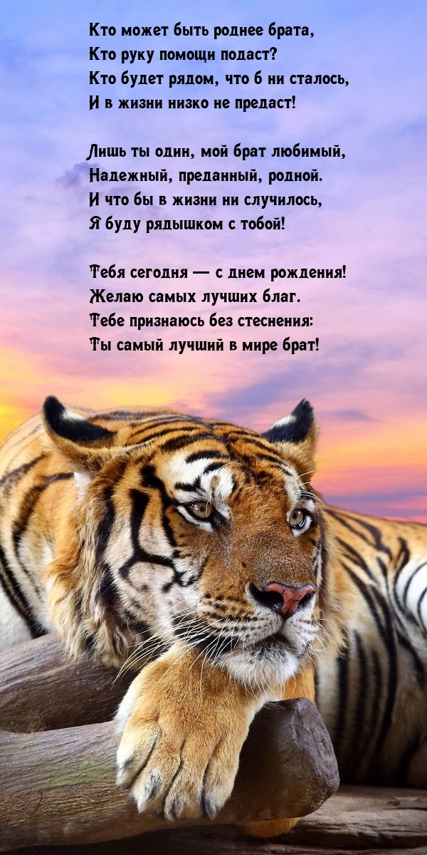 Кто может быть роднее брата, кто руку помощи подаст?