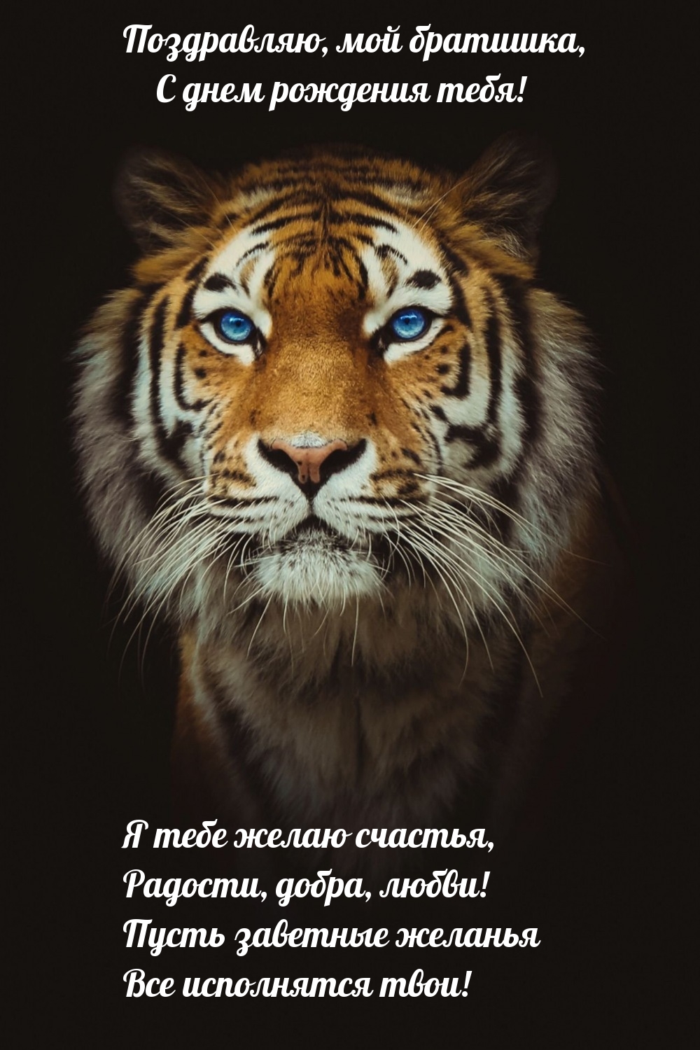 Поздравляю, мой братишка, с днем рождения тебя!