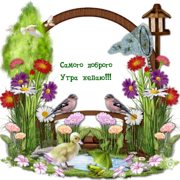 Самого доброго Утра желаю!