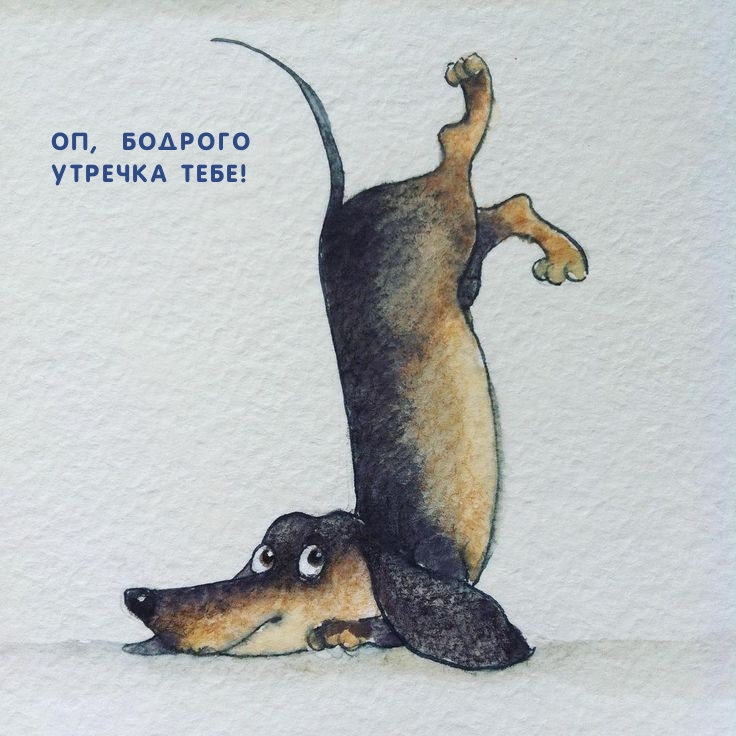 Оп, бодрого утречка тебе!
