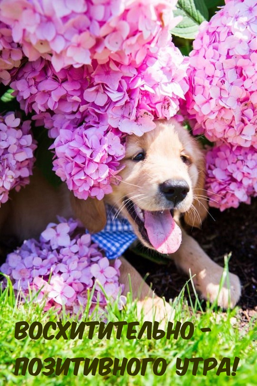 Восхитительно - Позитивного Утра!