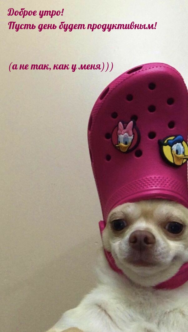 Доброго утречка! Пусть день пройдет налегке!