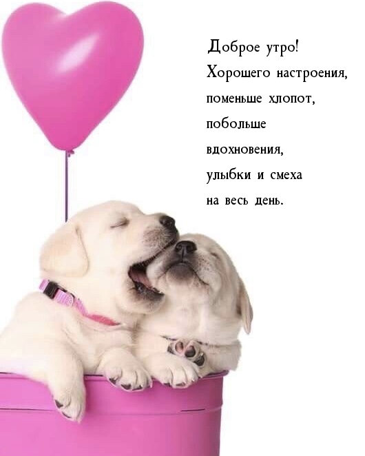 Доброе утро! Хорошего настроения, поменьше хлопот