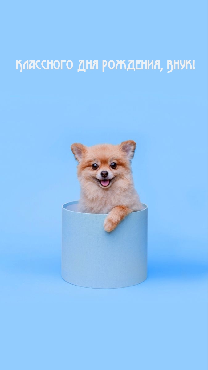 Классного Дня Рождения, Внук!