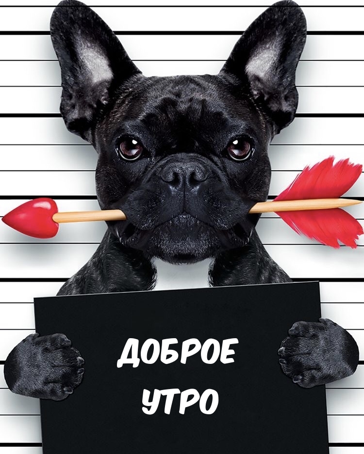 Доброе утро