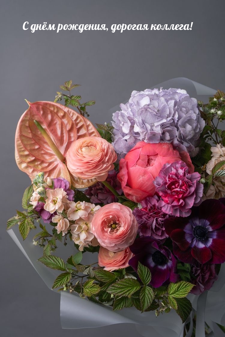 С днём рождения, дорогая коллега!