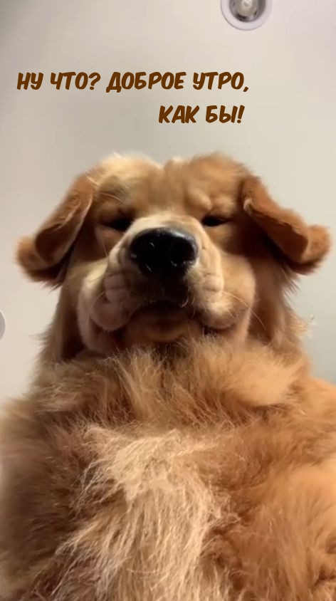 Ну что? Доброе утро, как бы!