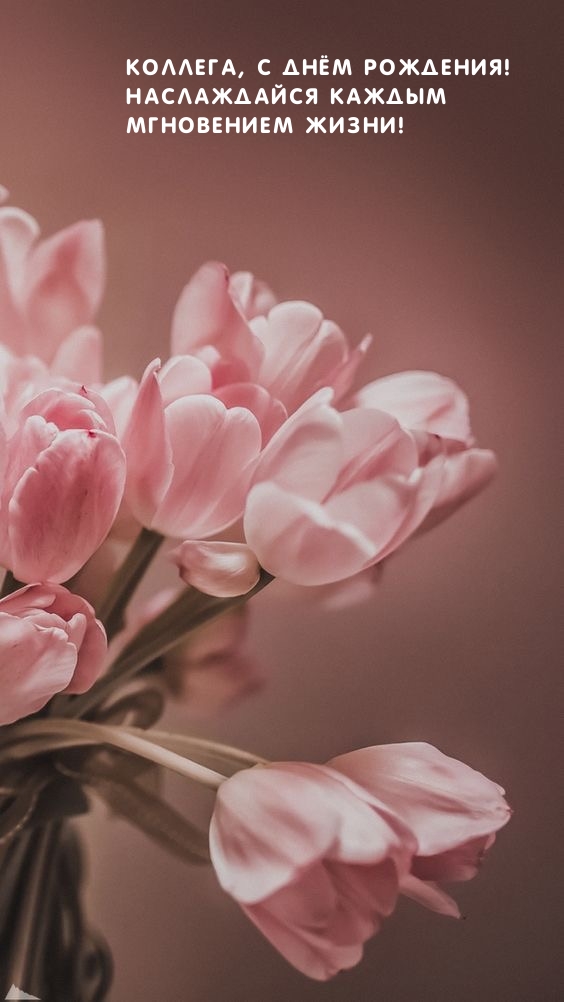 Коллега, с Днём рождения! Наслаждайся каждым мгновением жизни!