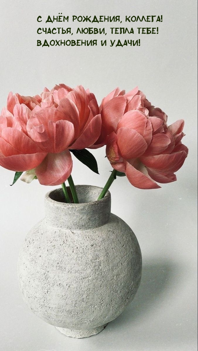С днём рождения, коллега! Счастья, любви! Вдохновения и удачи!