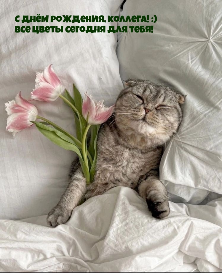 С днём рождения, коллега! :) Все цветы сегодня для тебя!