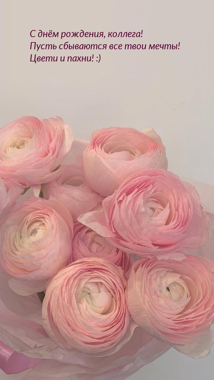 С днём рождения, коллега! Пусть сбываются все твои мечты!
