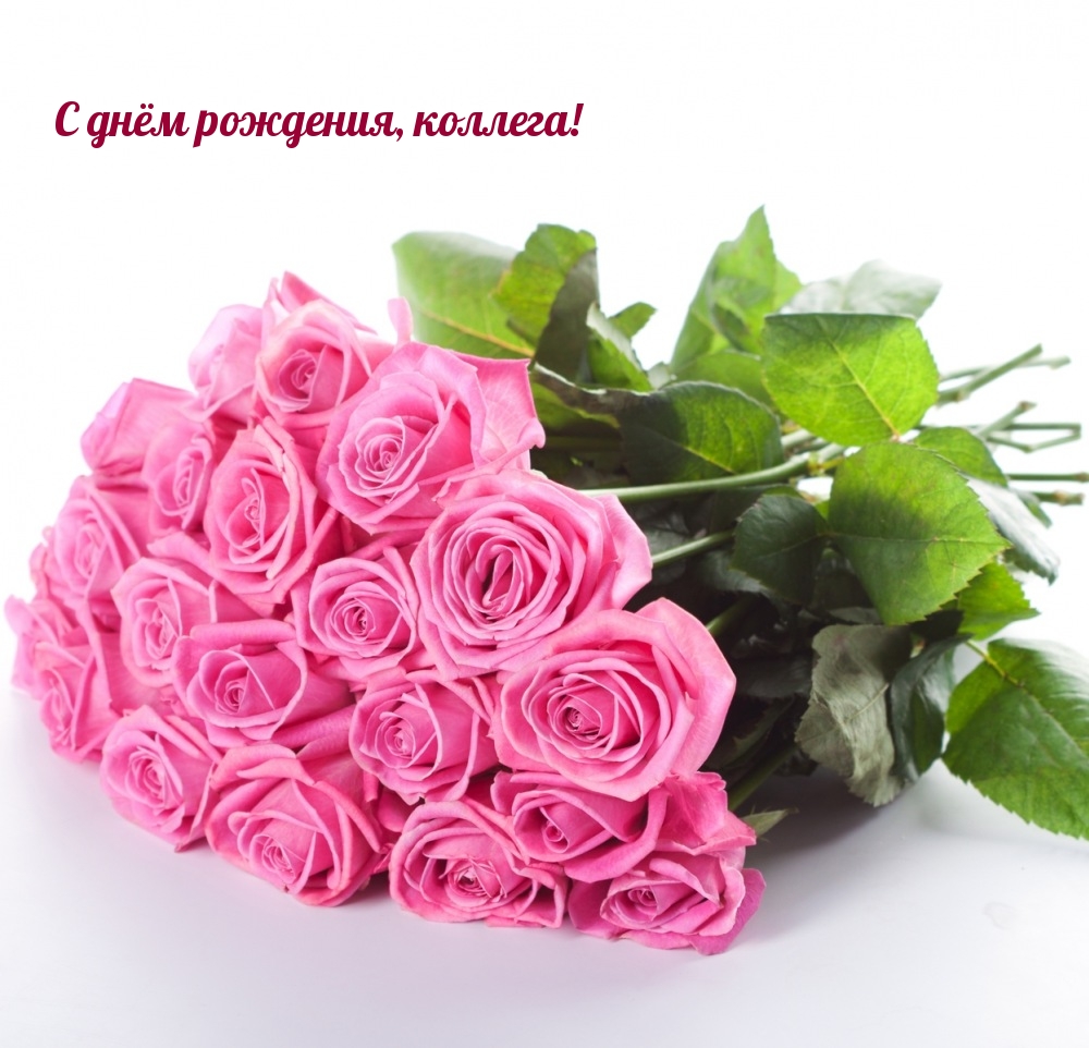 С днём рождения, коллега!