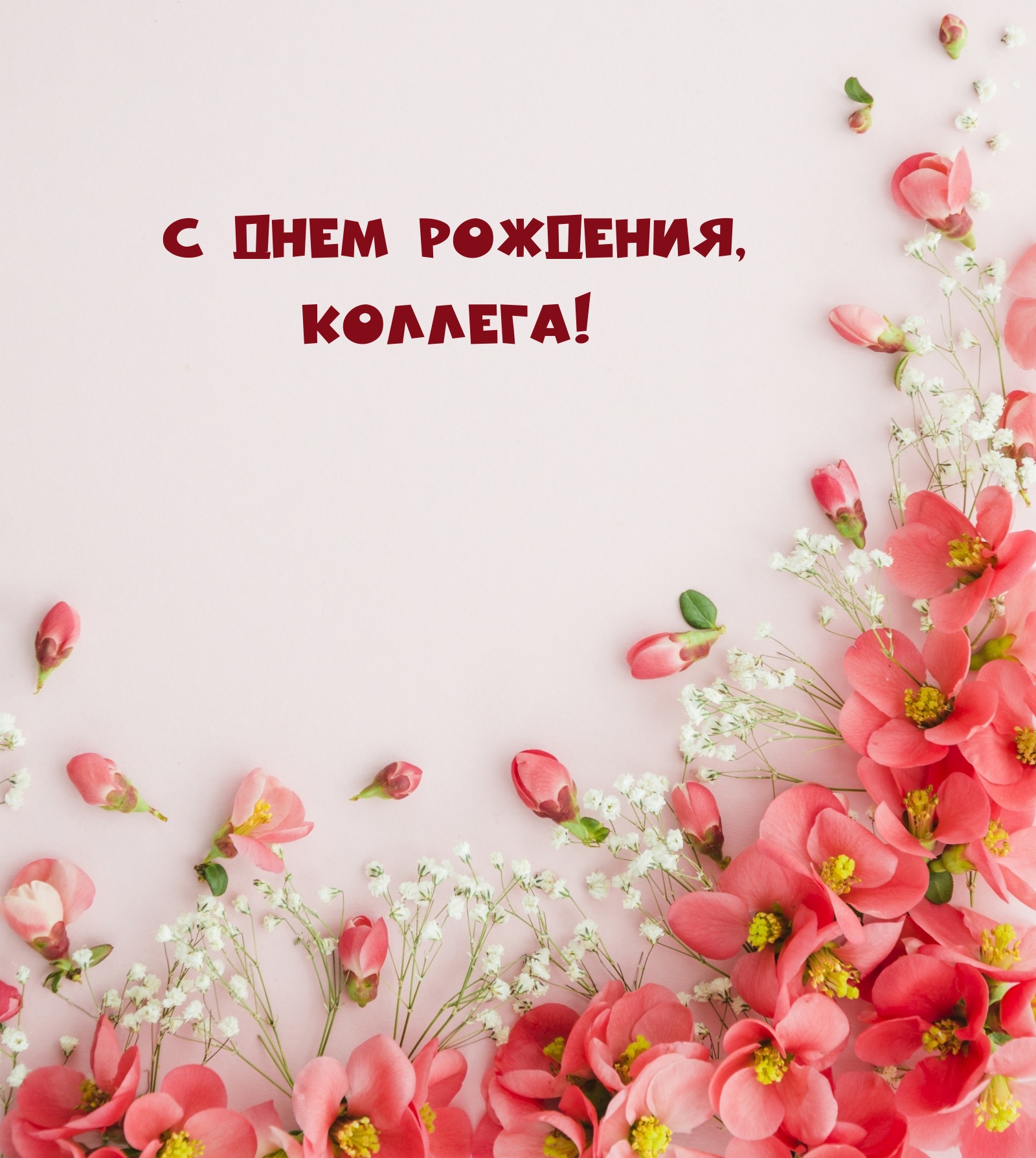 С днем рождения, коллега! 