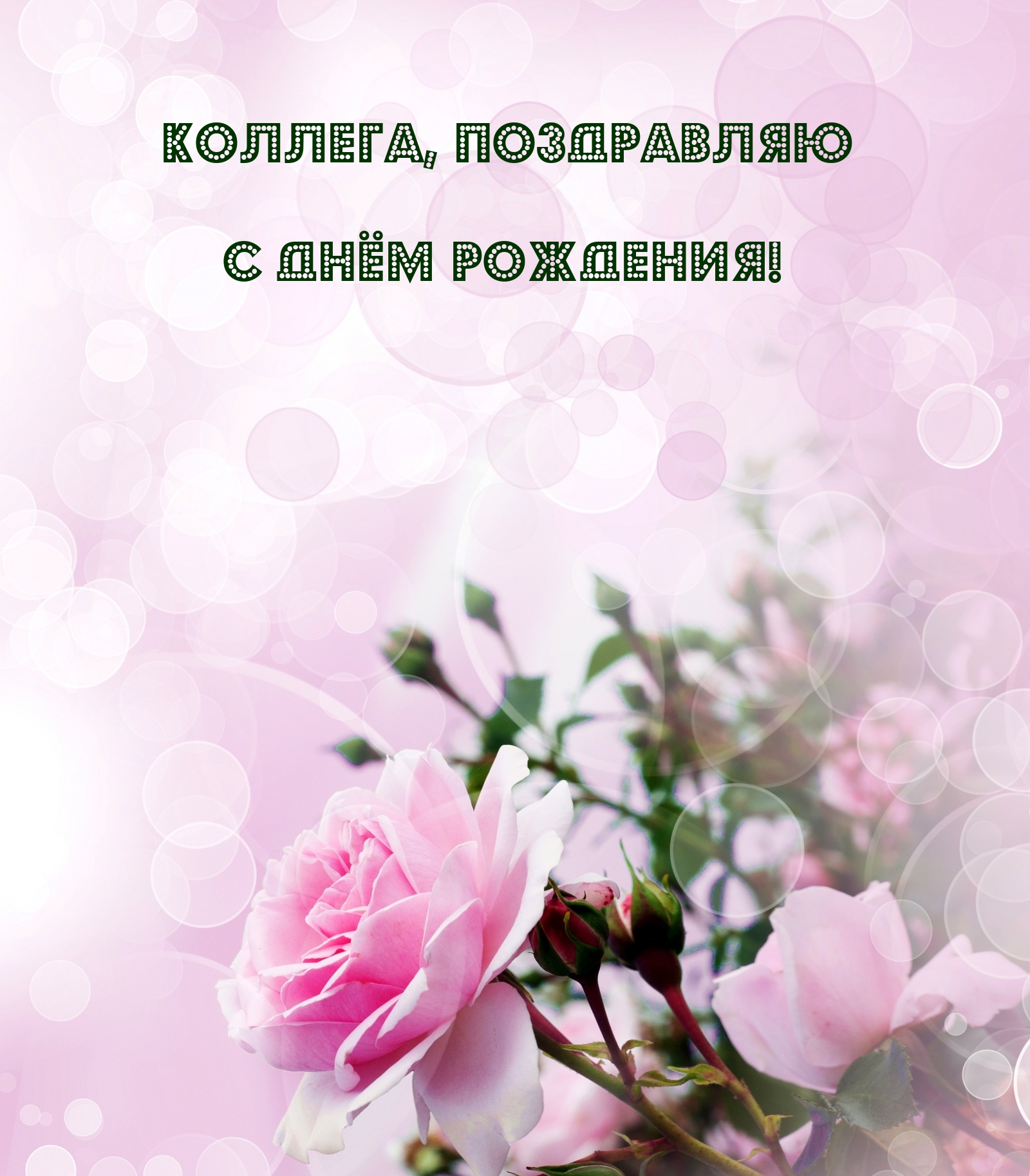 Коллега, поздравляю с днём рождения!