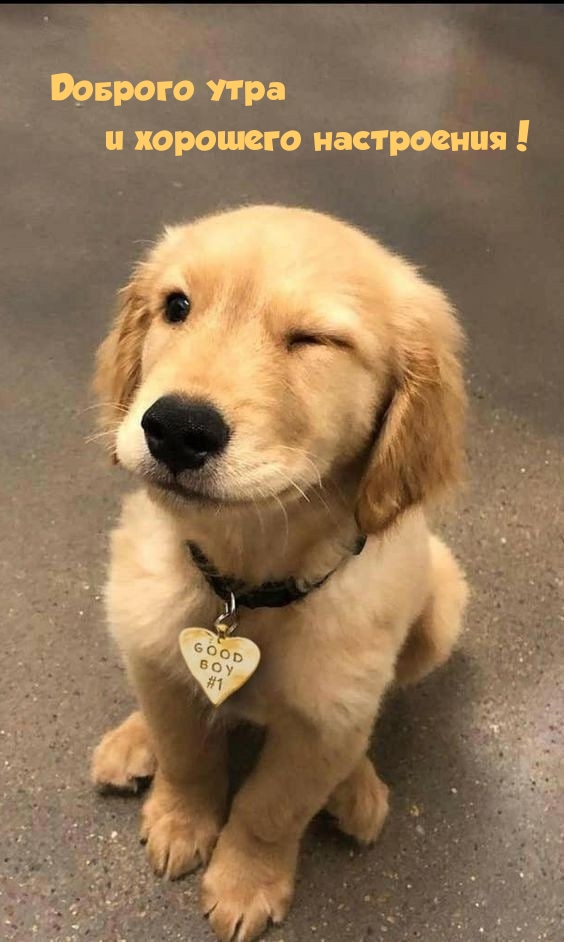 Доброго утра и хорошего настроения!