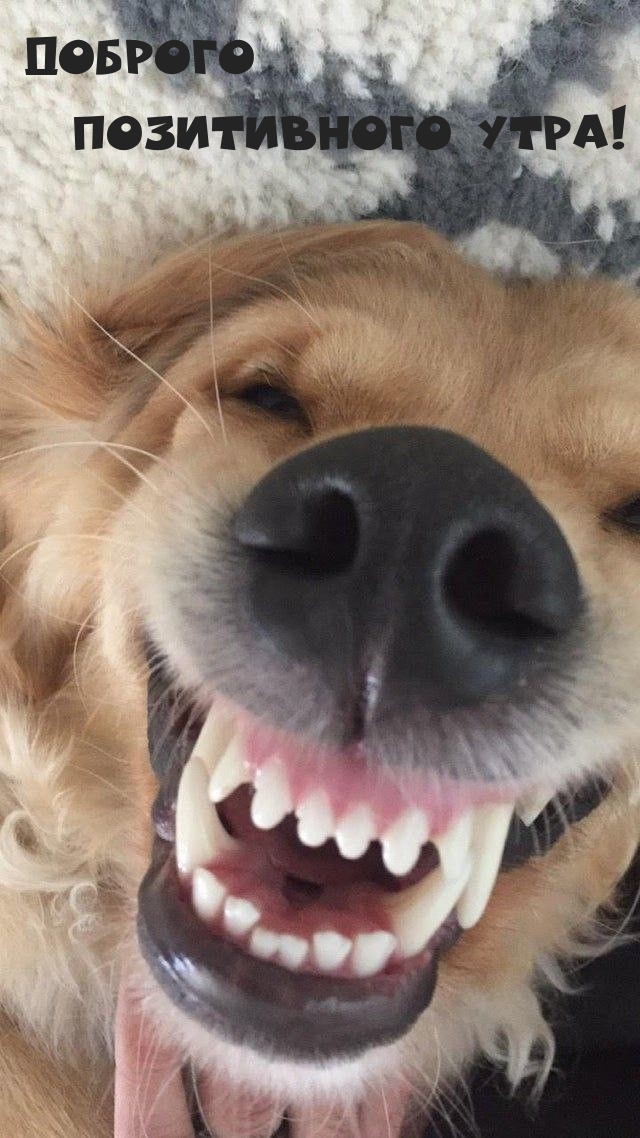 Доброго позитивного утра!