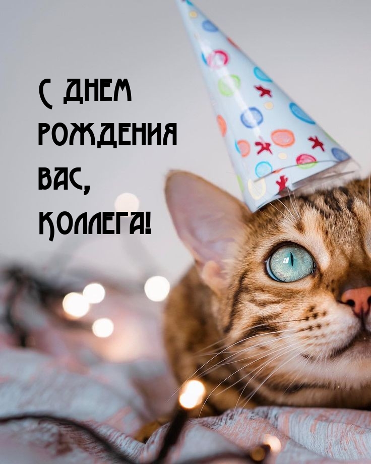 С днем рождения вас, коллега!