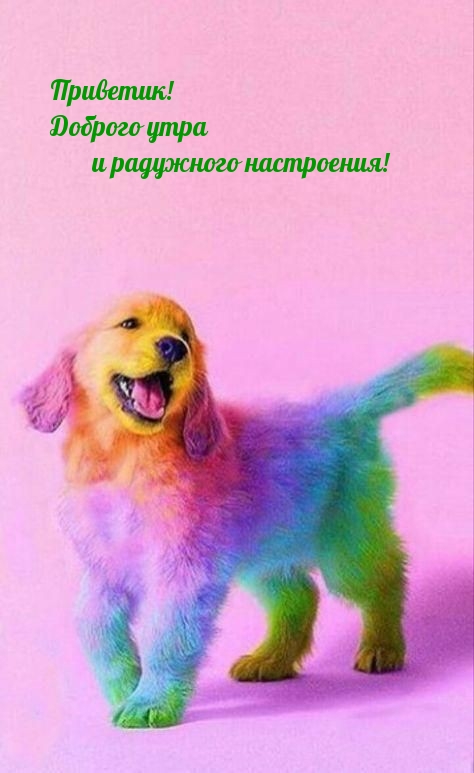 Приветик! Доброго утра и радужного настроения!