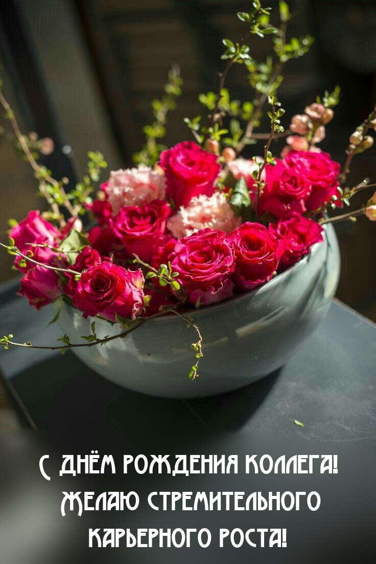 С днём рождения коллега! Стремительного карьерного роста!