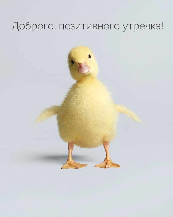 Доброго, позитивного утречка!