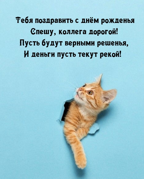 Тебя поздравить с днём рожденья спешу, коллега дорогой!
