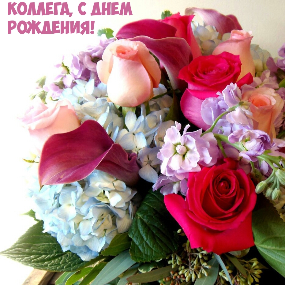 Коллега, с днем рождения!