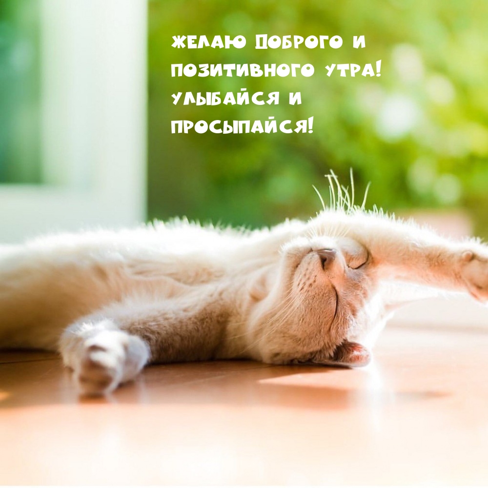 Желаю доброго и позитивного утра! Улыбайся и просыпайся! 