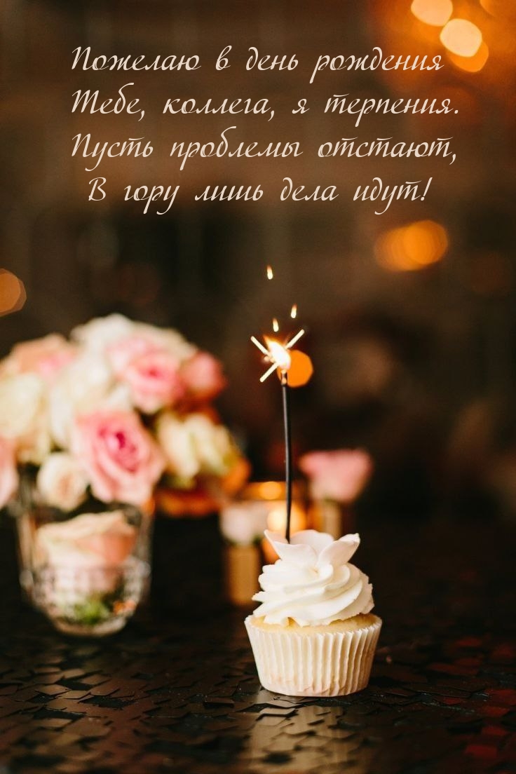 Пожелаю в день рождения Тебе, коллега, я терпения. 