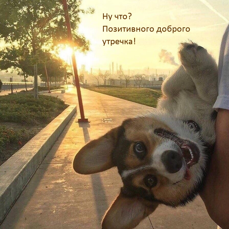Ну что? Позитивного доброго утречка! 
