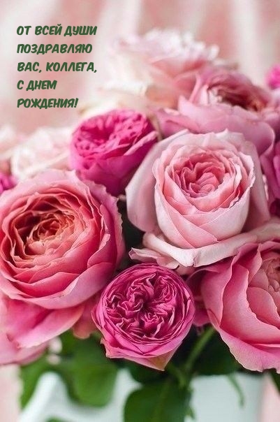 От всей души поздравляю Вас, коллега, с Днем Рождения! 