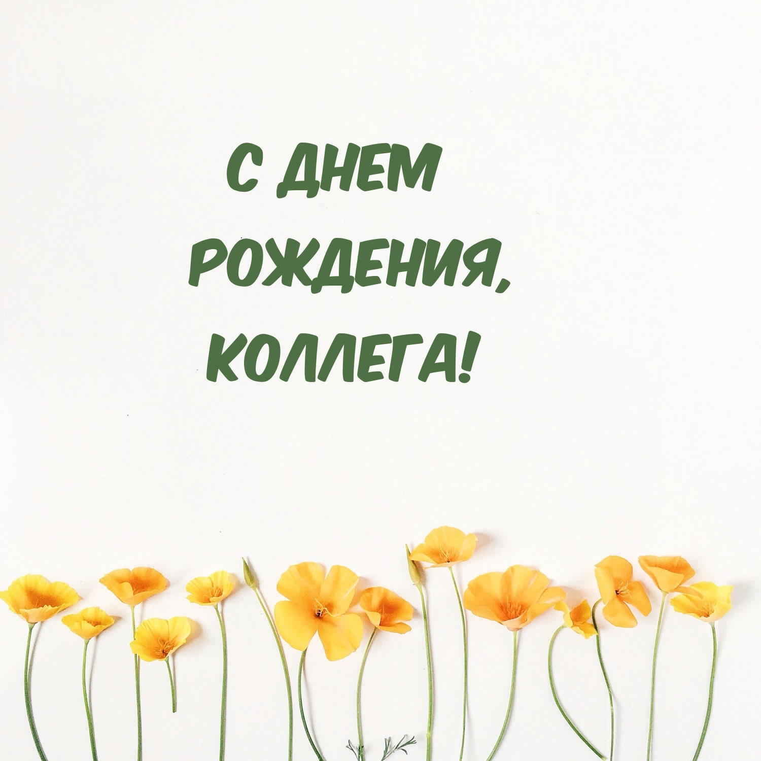 С днем рождения, коллега!