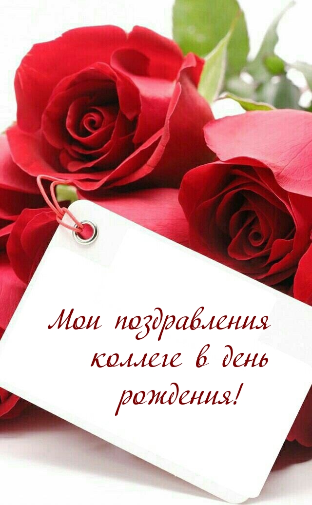 Мои поздравления коллеге в день рождения!