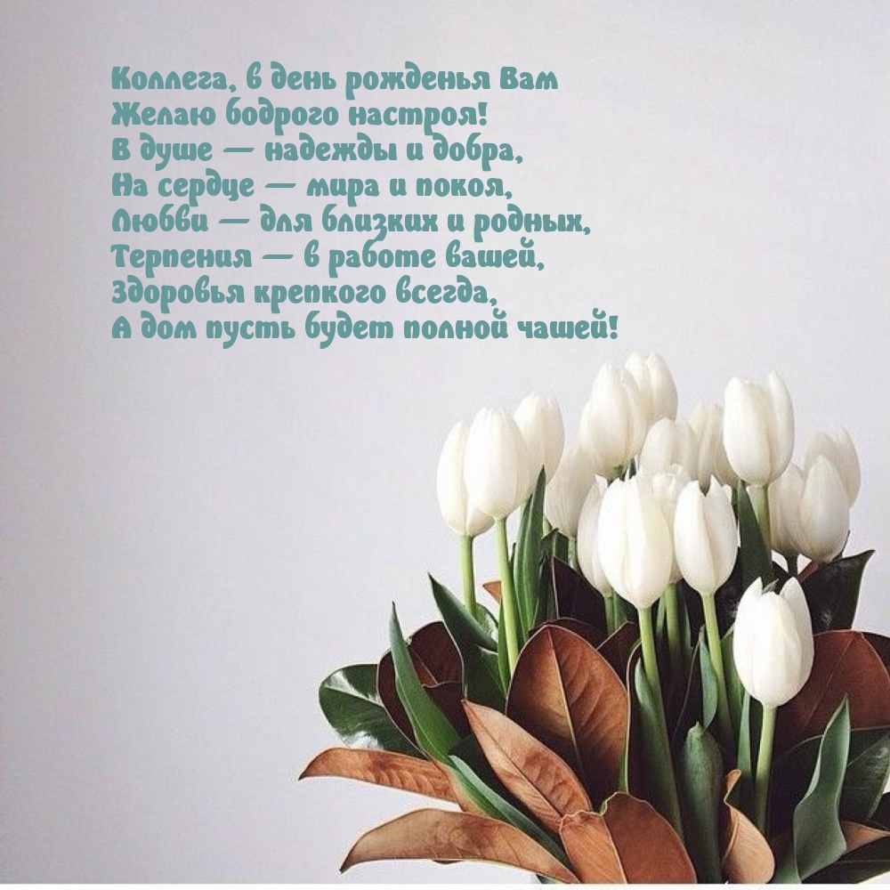 Коллега, в день рожденья Вам желаю бодрого настроя!