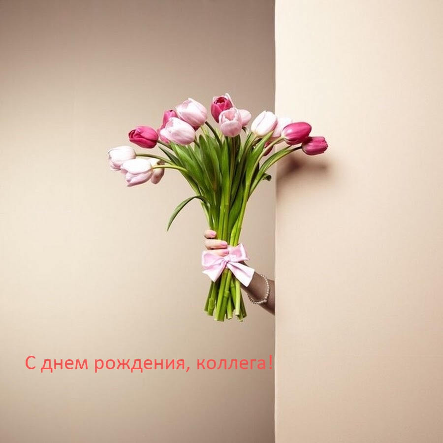 С днем рождения, коллега!