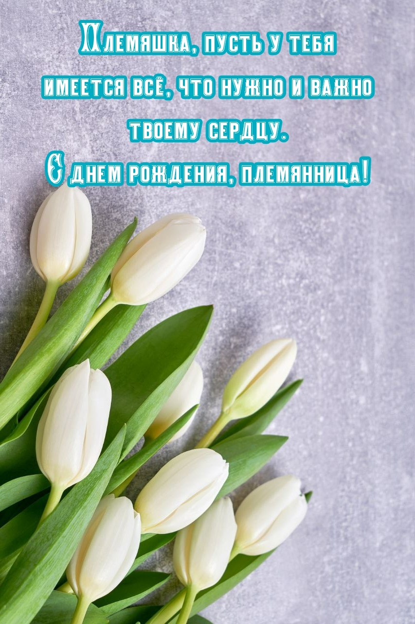 С днем рождения, племянница! Племяшка, пусть у тебя имеется всё