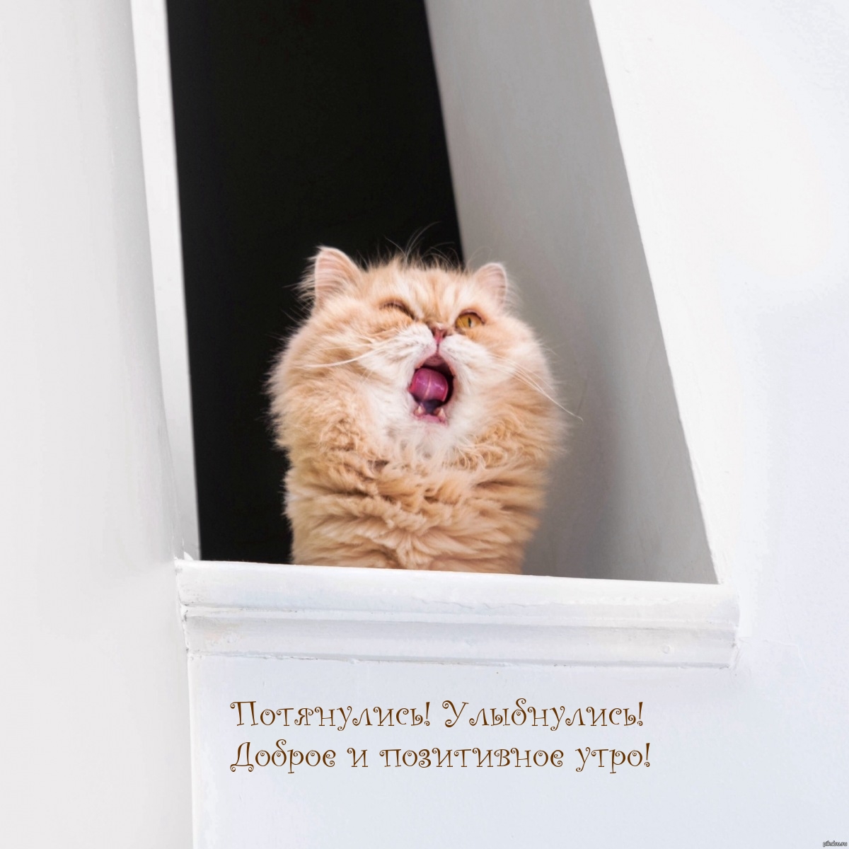 Потянулись! Улыбнулись! Доброе и позитивное утро! 